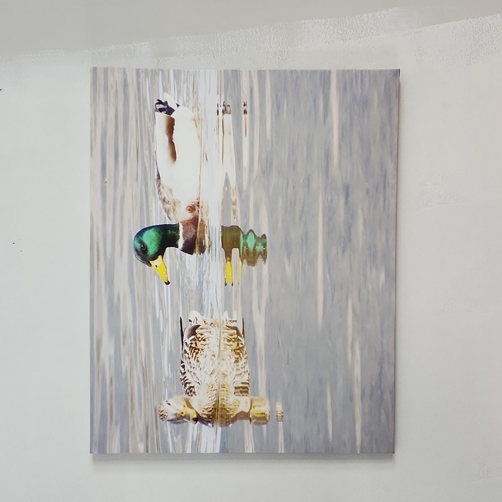 Canvas duck print